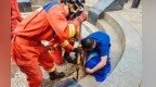 德安县一男孩贪玩右手被卡下水道 消防7分钟紧急救援