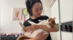 中秋国庆长假有人上门喂猫收入超2万，专家：老手吃香