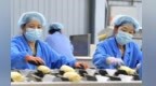 丰收色号上新　甘肃永昌土地再生金