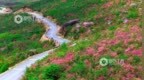 赣北局部有暴雨！江西省文旅厅、江西省气象局发布旅游安全温馨提示