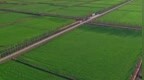 2025年全国农垦生产总值首次突破1万亿元