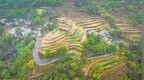 太行山居画卷
