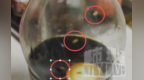 海天特级金标生抽开封一周竟“生蛆” 南昌消费者：已经第二次碰到这种情况