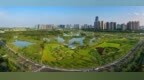 荣获湾区“卓越规划奖”！顺德云鹭上市小镇加速起航