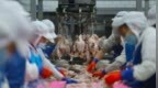 食品安全法大幅修订回应哪些关切