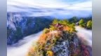 一叶知秋万山入画　甘肃陇南康县待君来