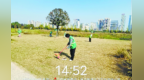 马兰圩花海公园有人聚集遛狗 狗粪遍布！新建区创建办回复