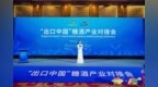 共享中国大市场 共赢食饮新机遇！“出口中国”糖酒产业对接会成功举办