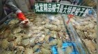 双节过后，大闸蟹、梭子蟹价格几近腰斩