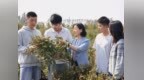 5亩田纯赚近3万！河南农大教授给虞城支招，这堂“田间课”太值了