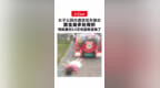 女子公园内遭游览车撞击 致全身多处骨折 司机垫付2.5万元后称没钱了 公园方：等待责任划分