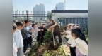 黄山市徽州区：乐享秋收趣 劳动润童心