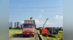 新碶街道千亩方田今日开镰，4台收割机驰骋金色稻海