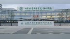 10月19日！齐鲁医院德州医院中心院区小儿外科门诊开诊啦！