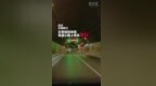 男子高速路上逆行 被处扣留驾驶证