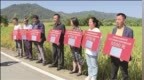 最高超两万元！安徽一地给种粮大户发放养老保险补助