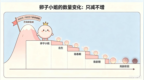 备孕科普：女性一辈子有多少次怀孕机会？