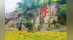 安徽移动：我的移动故事（拼信号篇）|一根网线，让千年孝故事走出深山