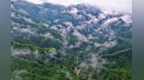 【甘快看】守得住青山　看得见“金山”