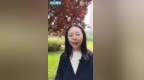财经慧说｜“不烧心”火了，今天我们聊聊AI短剧