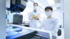 齐鲁制药双抗QLS2312获临床批准，潜在“First-in-class”新药引关注
