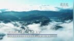 北回归线上的“液态黄金”