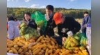 田间地头变课堂　甘肃华亭学子沉浸式get劳动意义