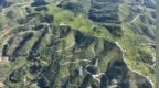 “空气”卖了超5000万元！兴国油茶林碳汇全国率先变现