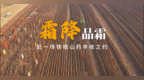 霜降品霜，赴一场铁棍山药丰收之约