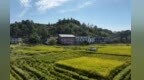 《美丽江西建设“十五五”规划》系列解读（二）｜持续打好蓝天提升攻坚战