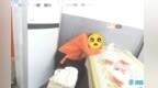 高三女生负气离家凌晨在烧烤店久坐 南昌民警7小时陪伴解开心结