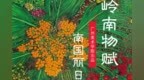 岭南物赋 |  南国丽日