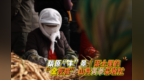 【甘快看】甘肃张掖：泥土里的“金疙瘩”　山丹黄参采收忙