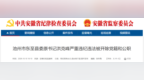 严重违纪违法！池州市东至县委原书记洪克峰被“双开”