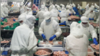 凤凰国际财闻汇 | 全球肉市迎来颠覆者，中国鸡肉喂饱五大洲