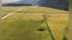 安徽省休宁县五城镇：物联网绿色防护 助力特色产业发展