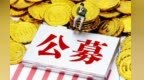 “黑天鹅”突袭　公募产品南下再遇停牌风险