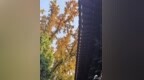 赴岱庙之约 静享秋日慢时光