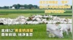 2026年奶粉出炉，多维度评选覆盖全品类喂养需求