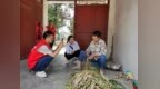 农忙服务上门 通信护航丰收——安徽移动淮北分公司下沉便民服务