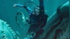 海底求生惊悚力作《鲸口脱险》上映 深海之下险境重重 巨兽腹中上演60分钟生死逃亡