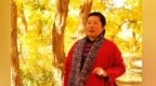 敦煌三危山下胡杨林“披金”　游客漫步栈道赏秋