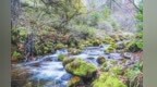 吐鲁沟秋韵正浓
