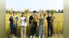 淹水一周还能亩产600斤？这片“神仙稻田”背后，是河南农大教授死磕的六年