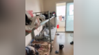 男子出差回合肥，发现闲置房竟被中介私自修改密码出租，中介公司回应