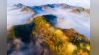 金秋走进甘肃陇南康县山野　解锁焦糖色慢时光