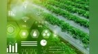 数智化赋能农业特色产业高质量发展　从哪儿着手