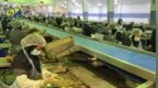 凤凰直击：伊朗罐头厂加班生产，工人每天工作12小时保食品供应