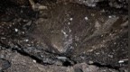 “遭弹道导弹袭击”！乌克兰首都基辅传出连续爆炸声
