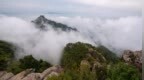 洛阳白云山“重阳节40岁以上游客免门票”？景区回应